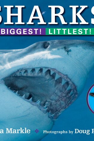 Cover of Sharks: Biggest! Littlest!