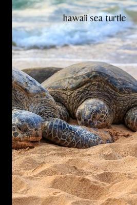 Book cover for hawaii sea turtle