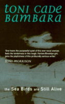 Book cover for Seabirds are Still Alive