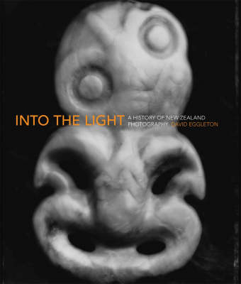 Book cover for Into the Light