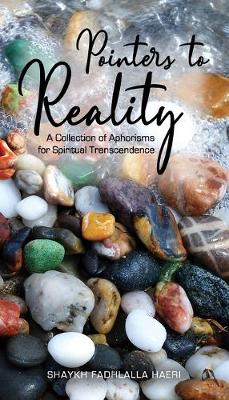 Book cover for Pointers to Reality