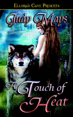 Book cover for A Touch of Heat