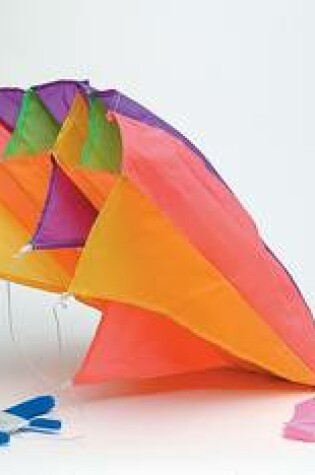 Cover of Parafoil Stunt Kite