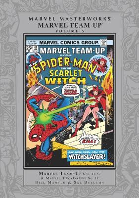 Book cover for Marvel Masterworks: Marvel Team-up Vol. 5