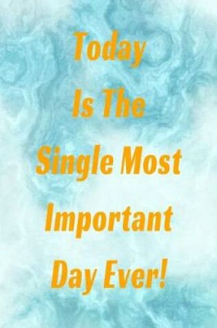 Cover of Today Is The Single Most Important Day Ever!