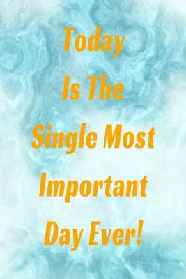 Book cover for Today Is The Single Most Important Day Ever!