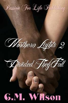 Cover of Northern Lights 2