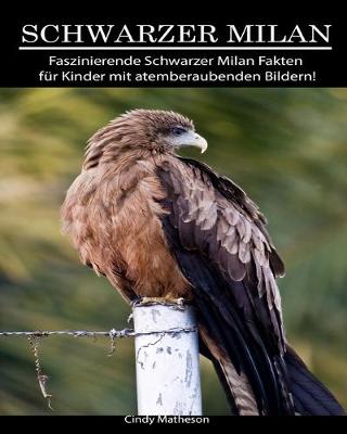 Book cover for Schwarzer Milan