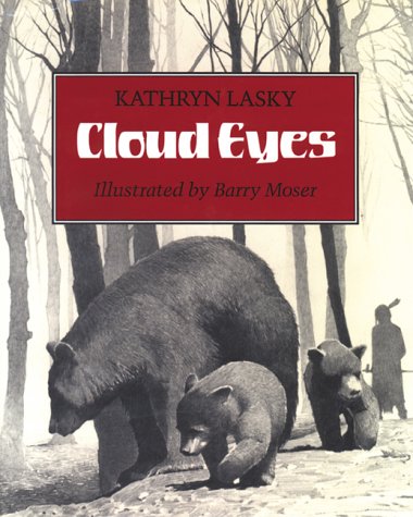 Book cover for Cloud Eyes