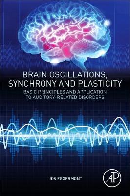 Book cover for Brain Oscillations, Synchrony and Plasticity