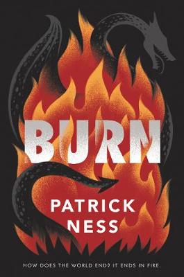 Book cover for Burn