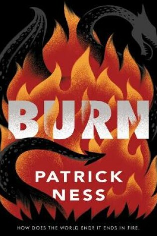 Cover of Burn