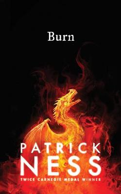 Book cover for Burn