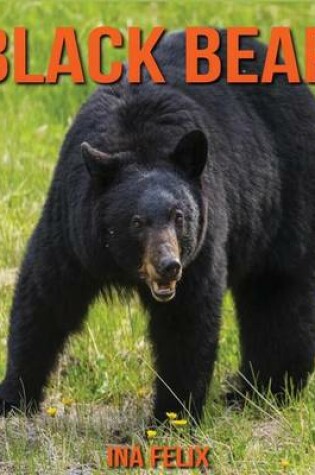 Cover of Black Bear