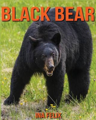 Book cover for Black Bear