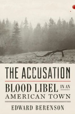 Cover of The Accusation