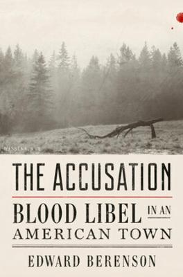 Book cover for The Accusation