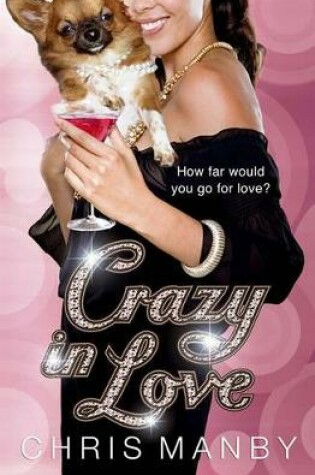 Cover of Crazy in Love