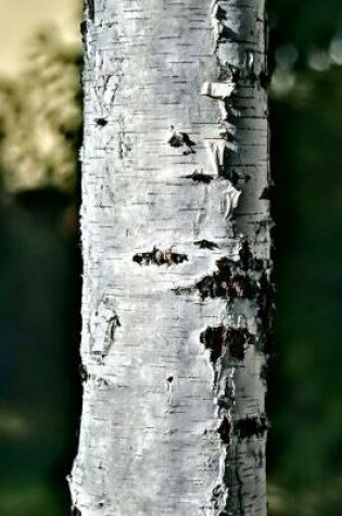 Cover of Peeling Bark on the Trunk of a Birch Tree Journal