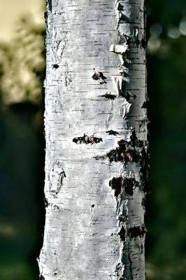 Book cover for Peeling Bark on the Trunk of a Birch Tree Journal