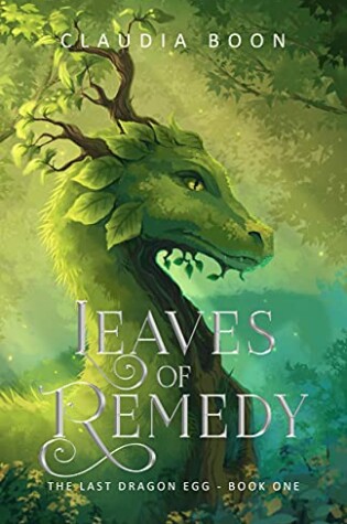 Cover of Leaves of Remedy