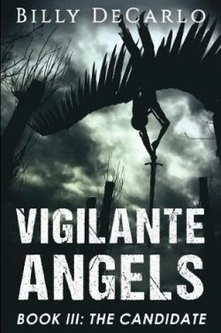 Cover of Vigilante Angels Book III