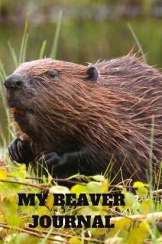 Cover of My Beaver Journal