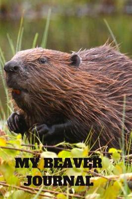 Book cover for My Beaver Journal