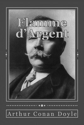 Book cover for Flamme d'Argent