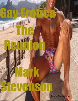 Book cover for Gay Erotica the Reunion