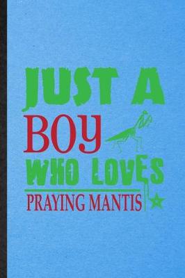 Book cover for Just a Boy Who Loves Praying Mantis