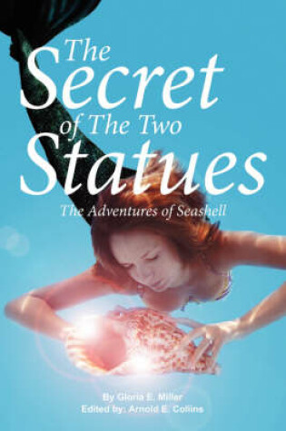 Cover of The Secret of The Two Statues