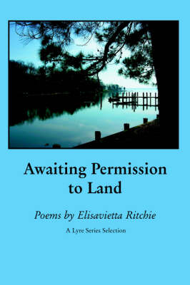 Book cover for Awaiting Permission to Land