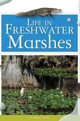 Cover of Life in Freshwater Marshes