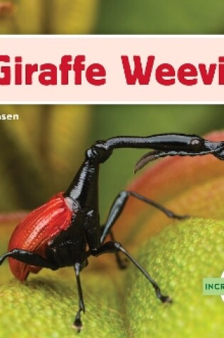Cover of Incredible Insects: Giraffe Weevil