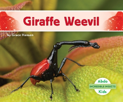 Book cover for Giraffe Weevil