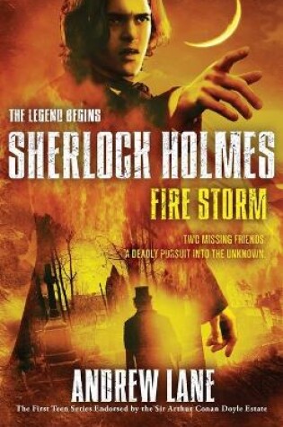 Cover of Fire Storm