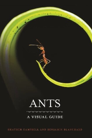 Cover of Ants