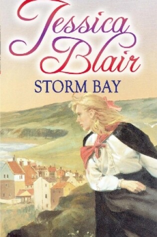 Cover of Storm Bay