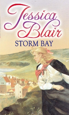 Book cover for Storm Bay