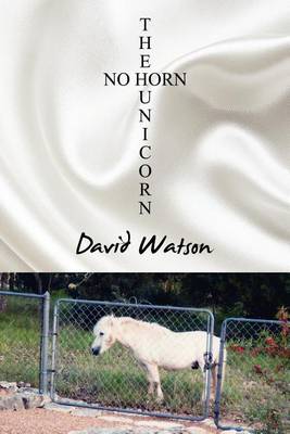 Book cover for The No Horn Unicorn