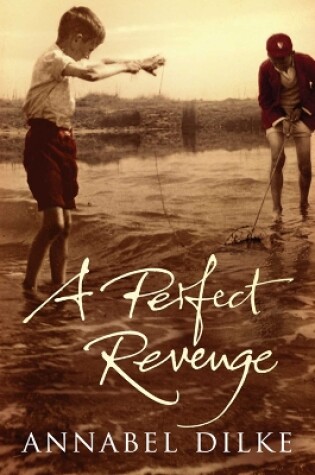 Cover of A Perfect Revenge