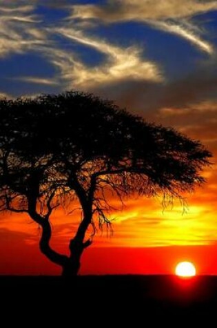 Cover of A Beautiful Sunset on the African Plains