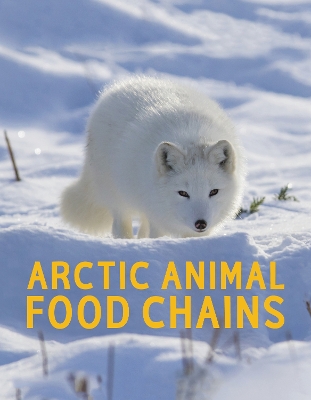 Book cover for Arctic Animal Food Chains