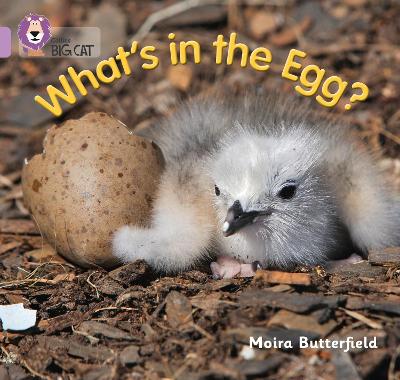 Cover of What’s in the Egg?