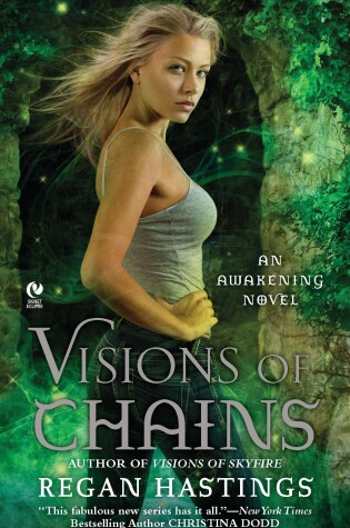 Cover of Visions Of Chains