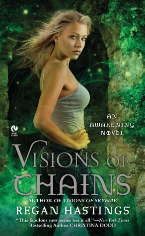 Book cover for Visions Of Chains