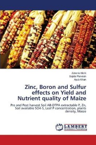 Cover of Zinc, Boron and Sulfur effects on Yield and Nutrient quality of Maize