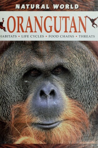 Cover of Orangutan