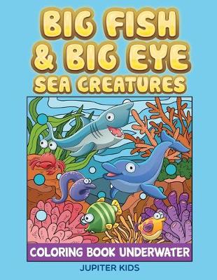 Book cover for Big Fish & Big Eye Sea Creatures
